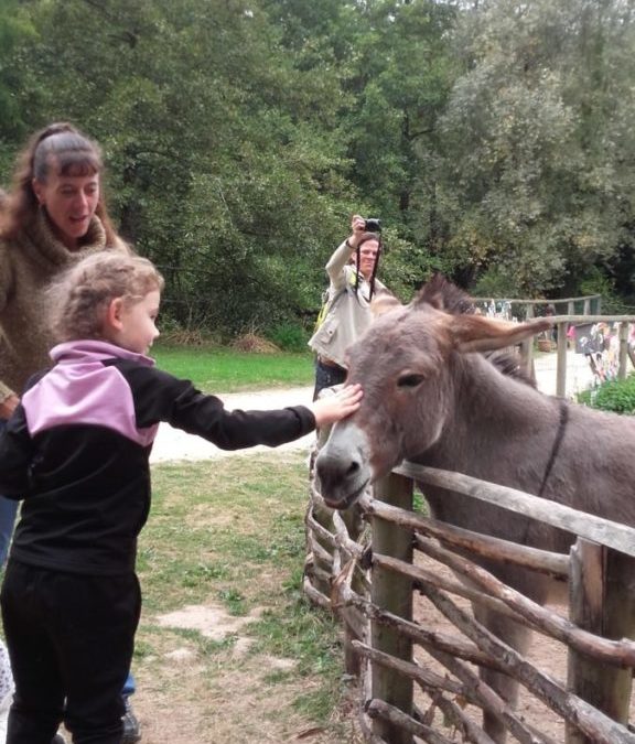 Journée d’intégration au jardin de Brocéliande!