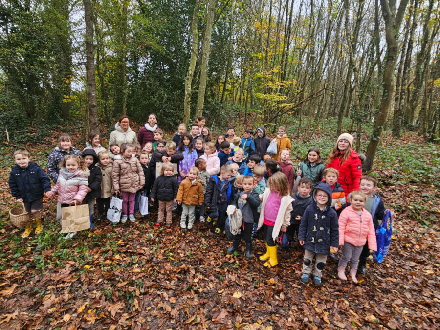 Sortie automnale du mois de novembre